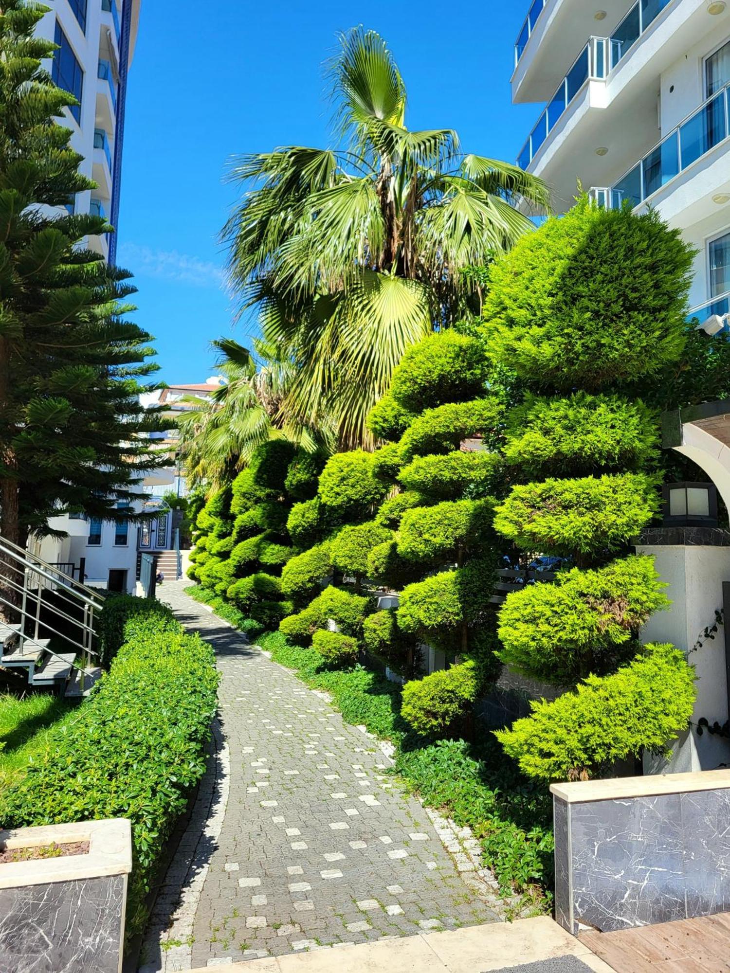 Elite Marine Residence - Cleopatra, Center 알란야 외부 사진
